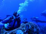 Hawaii Scuba divng 84