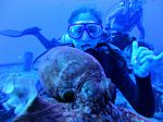 Hawaii Scuba divng 87