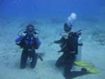 Hawaii Scuba divng 11