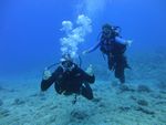 Hawaii Scuba divng 15