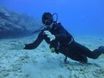 Hawaii Scuba divng 19