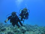 Hawaii Scuba divng 21