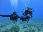 Hawaii Scuba divng 22