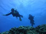 Hawaii Scuba divng 23