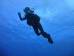 Hawaii Scuba divng 24