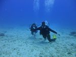 Hawaii Scuba divng 26