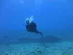 Hawaii Scuba divng 37