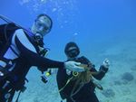 Hawaii Scuba divng 47