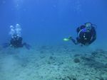 Hawaii Scuba divng 56