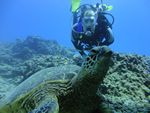 Hawaii Scuba divng 64