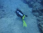 Hawaii Scuba divng 67