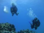 Hawaii Scuba divng 68