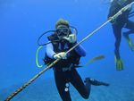 Hawaii Scuba divng 06