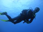 Hawaii Scuba divng 71