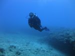 Hawaii Scuba divng 72