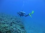 Hawaii Scuba divng 74