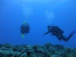 Hawaii Scuba divng 78