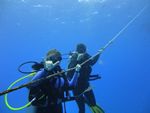 Hawaii Scuba divng 07