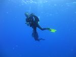 Hawaii Scuba divng 84