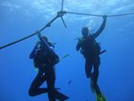 Hawaii Scuba divng 08