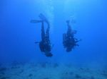 Oahu Scuba 12