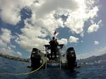 Hawaii Scuba divng 11