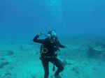 Hawaii Scuba divng 13