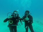 Hawaii Scuba divng 23