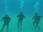 Hawaii Scuba divng 27