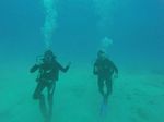 Hawaii Scuba divng 28