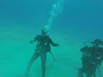 Hawaii Scuba divng 29