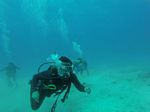 Hawaii Scuba divng 33