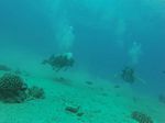 Hawaii Scuba divng 35