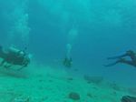 Hawaii Scuba divng 36