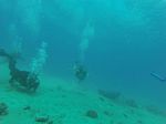 Hawaii Scuba divng 37