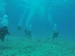 Hawaii Scuba divng 38