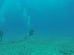 Hawaii Scuba divng 39