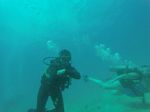 Hawaii Scuba divng 04