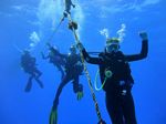 Hawaii Scuba divng 11