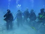 Hawaii Scuba divng 14