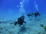 Hawaii Scuba divng 16