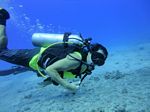 Hawaii Scuba divng 17