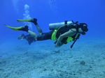 Hawaii Scuba divng 21