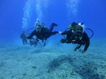 Hawaii Scuba divng 22