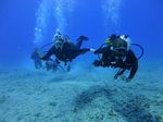 Hawaii Scuba divng 22