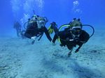 Hawaii Scuba divng 23