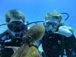 Hawaii Scuba divng 30