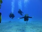 Hawaii Scuba divng 39