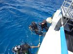 Hawaii Scuba divng 05