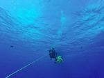Hawaii Scuba divng 10